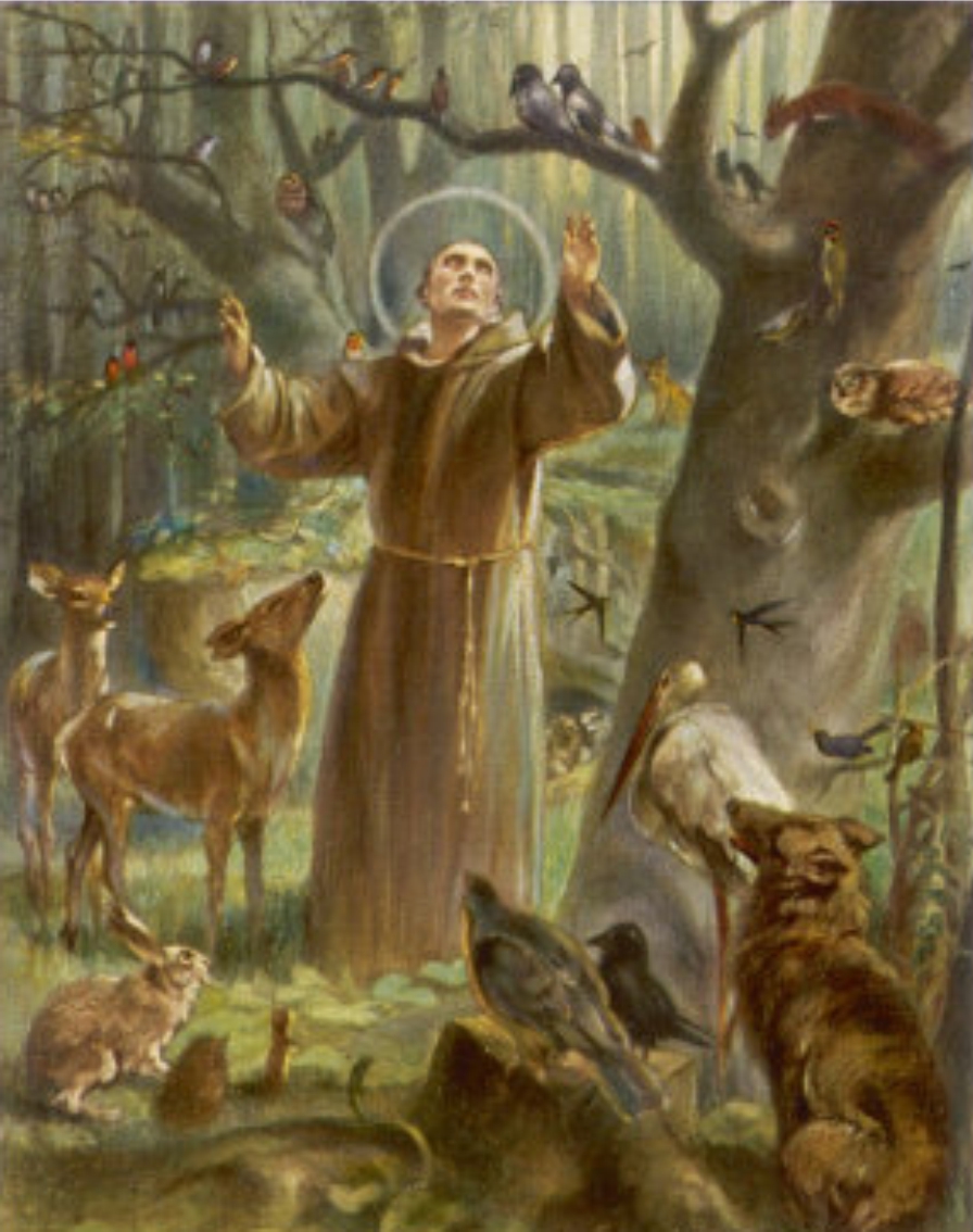 St Francis